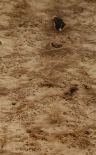 Mappa burl schaaldeel, tafelblad